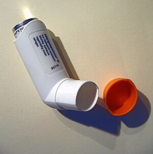 Inhaler