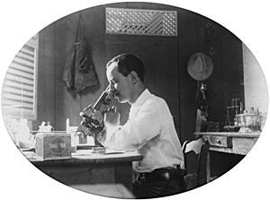 Joseph Everett Dutton at the microscope in Gambia 1902