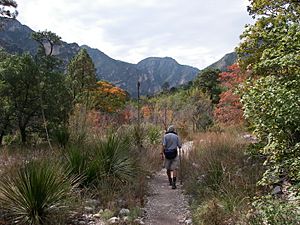 McKittrick Canyon Trail 2008