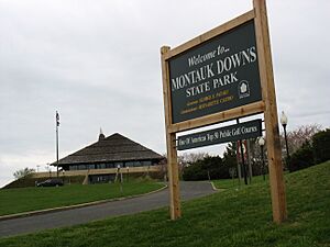 Montauk-downs