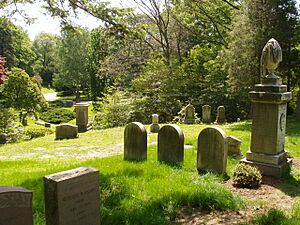 Mount Auburn Cemeter - Misc View