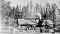 Nelder Grove Lumber Mill in 1881