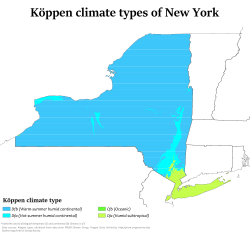 New York Köppen