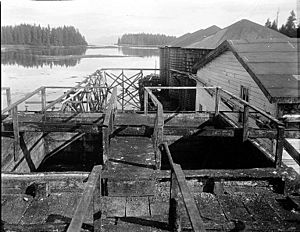 Oil tanks, Tyee Company whaling station, Tyee, Alaska, July 28, 1911 (COBB 66)