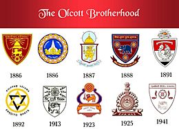 Olcot-Brotherhood-1-768x554