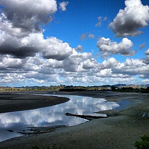 Orewa River 2014