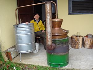Pečenje rakije u Međimurju (Croatia)