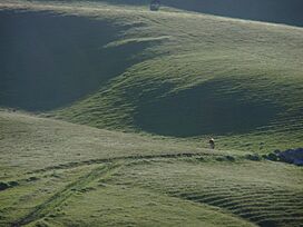 Photo in Corral Hollow.jpg