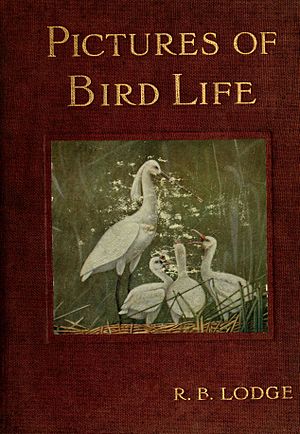 Pictures of bird life (6126774691)