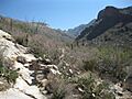 Pima Canyon Trail Canyon Mouth