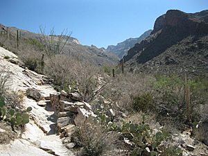 Pima Canyon Trail Canyon Mouth