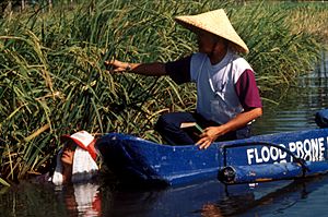 Researchers checking deep water rice