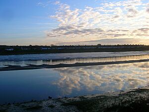 River Adur - geograph.org.uk - 1011437