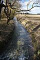 River Kennett at Badlingham - geograph.org.uk - 1192831