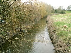 River Perry, south of Mytton - geograph.org.uk - 138537