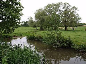 River Yeo - geograph.org.uk - 453155