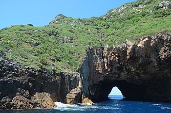Rock tunnel in Aorangaia Island.jpg