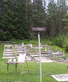 Roslyn-Slovak-Cemetery-P5270062