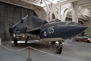 Sea Vixen (3795541272)