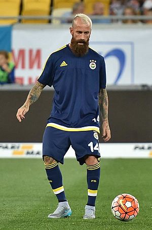 Shaktar - Fenerbahçe 05 August 2015 CL Q3 5.jpg