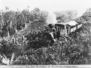 Steam locomotive on the new Buderim tramway on the summit of Buderim Mountain, 1915f