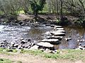 Stepping stones over the River Cover - geograph.org.uk - 416069