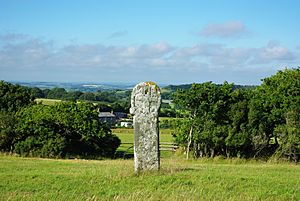 Stone cross on Laneast downs - geograph.org.uk - 2002536