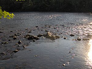 Sycamore-shoals-tn2