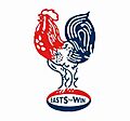 Sydney Roosters Logo 1967