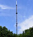 Tacolneston TX mast