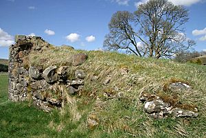 The remains of Mangerton Tower - geograph.org.uk - 1252265