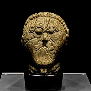 The stone head of a Celt