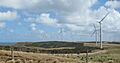 Vestas V66 turbines at Woolnorth Wind Farm