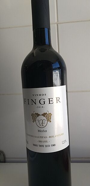 Vinho brasileiro do rio grande do sul
