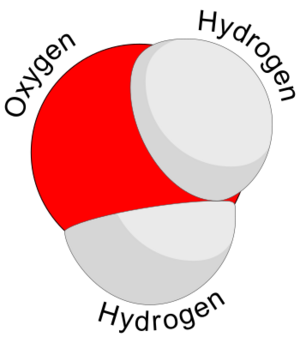 Water molecule (1)