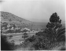 (View of base structures taken from hillside on the bay side of the isthmus of Catalina Island.) - NARA - 295510