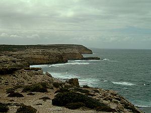 a scenic photograph of cliffs overlooking the sea