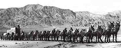 Twenty-mule team in Death Valley, California