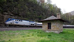 Amtrak "Pennsylvanian" on Horseshoe Curve (8991394046)