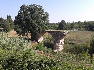 Antico ponte romano di San Vito, Romagna (2013)