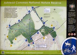 Ashtead Common Nature Reserve Information board
