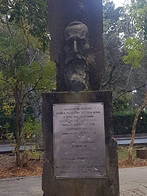 BUSTO DE MILAN RASTISLAV ŠTEFÁNIK HVEZDÁR