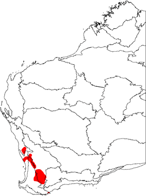 Banksia nobilis map