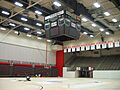 BeeghlyCenter2