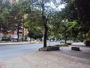 Avenida Principal de El Cafetal