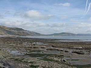 Broad Ledge, The Spittles and Charmouth from Lyme regis - geograph.org.uk - 750090