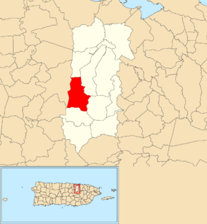 Location of Buena Vista within the municipality of Bayamón shown in red