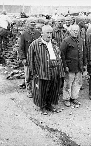 Bundesarchiv Bild 152-27-13A, Dachau Konzentrationslager, Häftlinge beim Appell