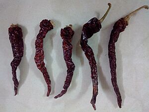Byadgi Chilli