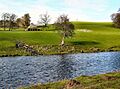 Dallam Tower Deer Park - geograph.org.uk - 354074
